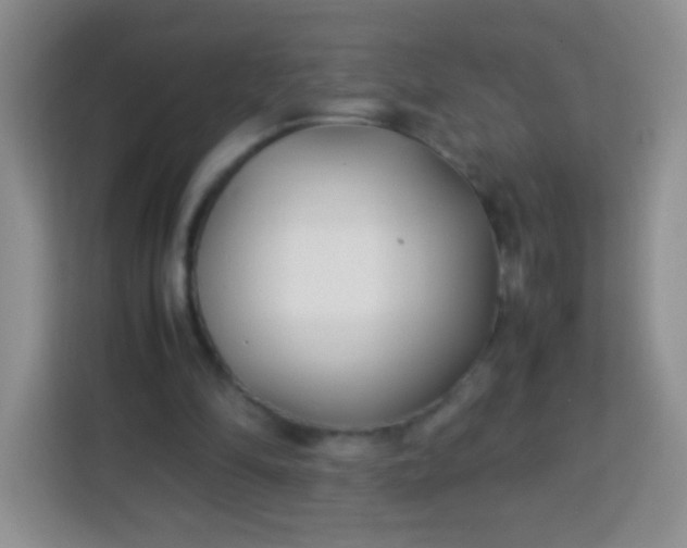 X0000113750294200910071111