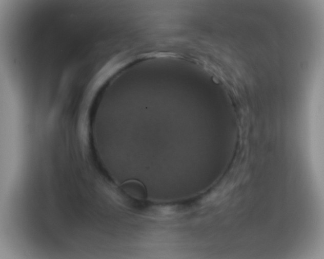 X0000113750295200910071111