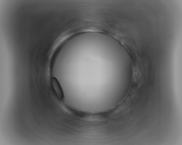 X0000113750296200910071111