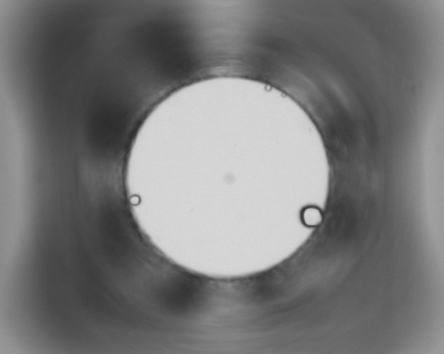 X0000113750297200910071111