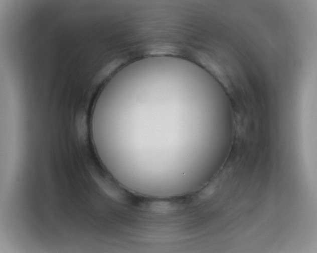 X0000113750298200910071111