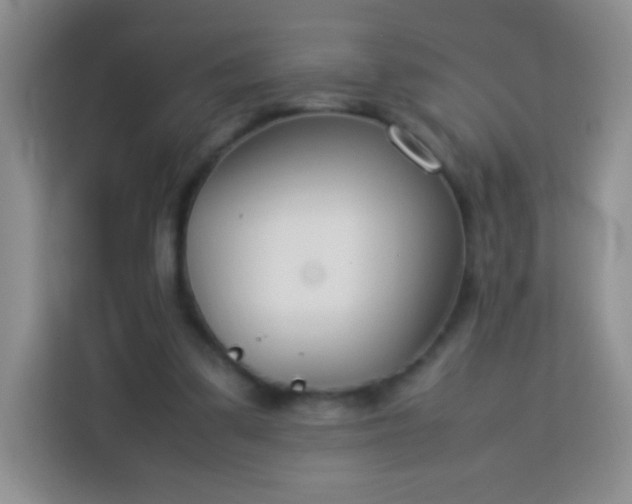 X0000113750299200910071111