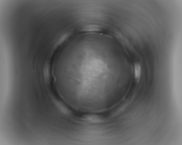 X0000113750300200910071111