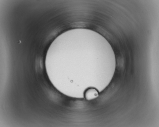 X0000113750302200910071111