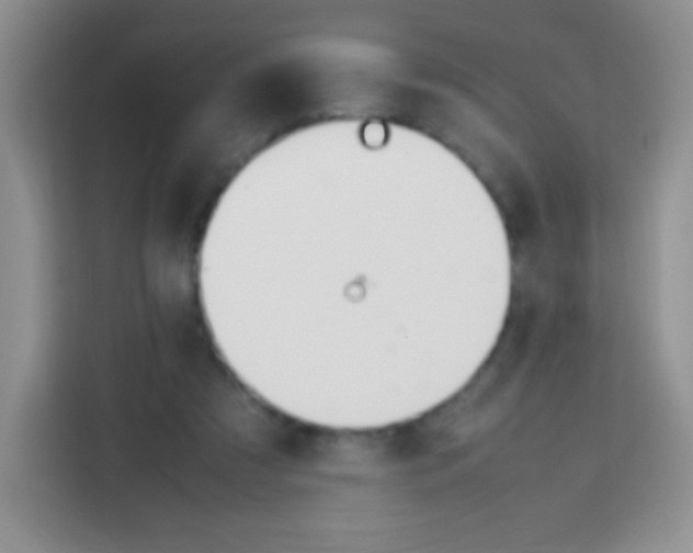 X0000113750305200910071111