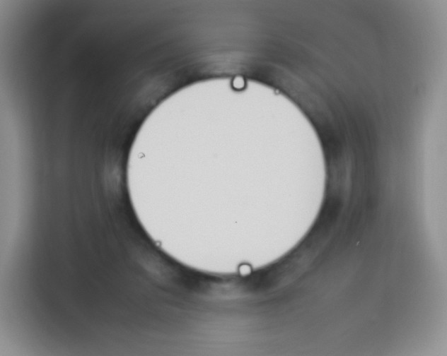 X0000113750309200910071111