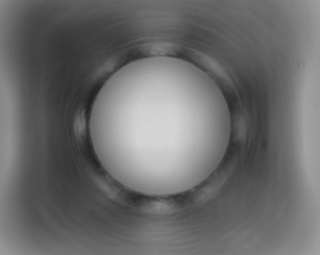 X0000113750310200910071111