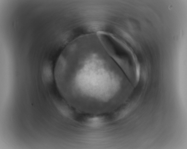 X0000113750312200910071111