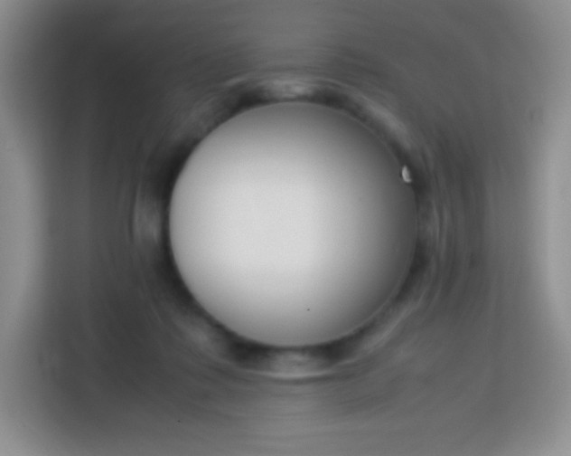 X0000113750315200910071111