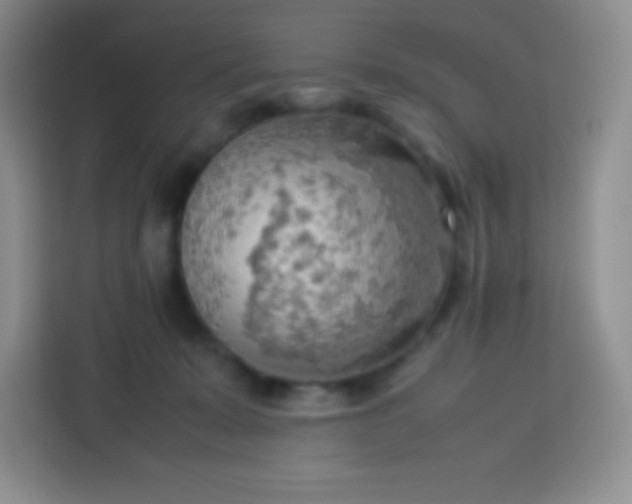 X0000113750319200910071111