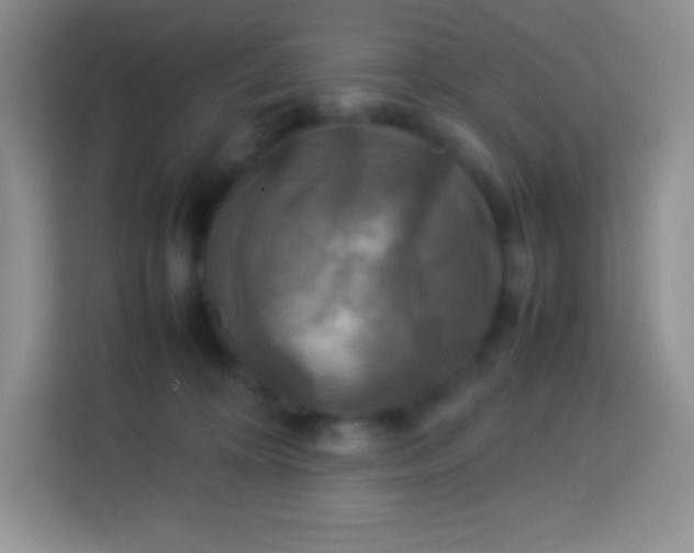 X0000113750324200910071111