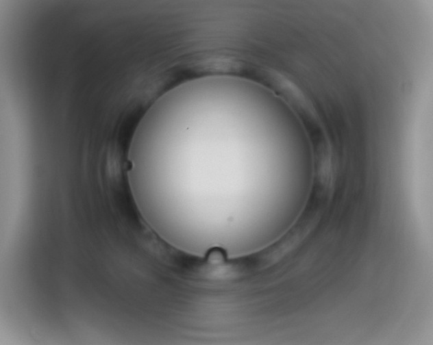 X0000113750326200910071111