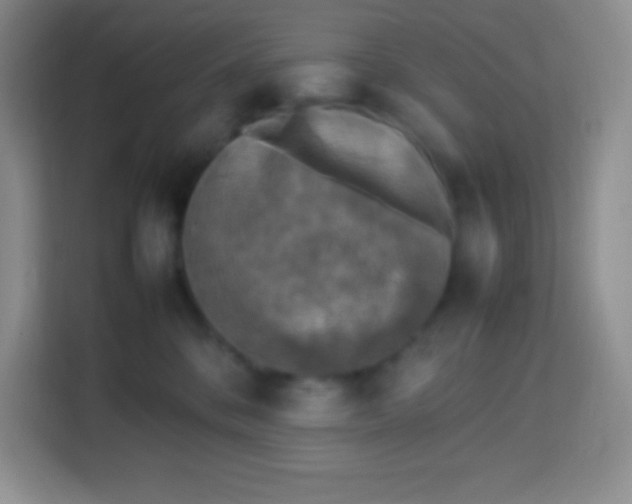 X0000113750328200910071111