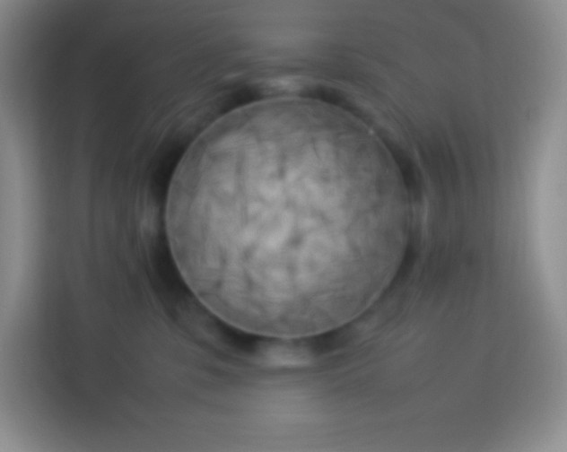 X0000113750331200910071111