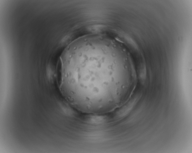 X0000113750332200910071111