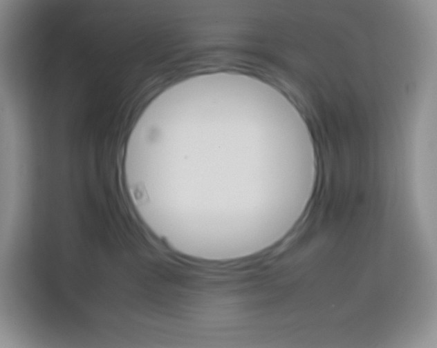 X0000113750333200910071111