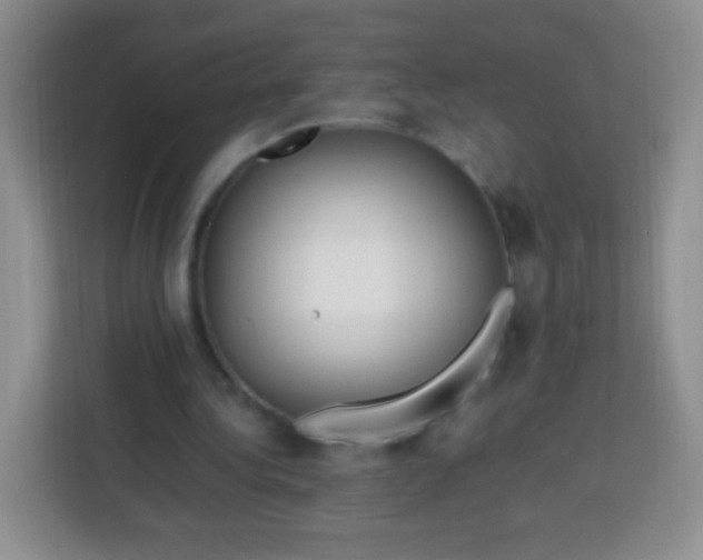 X0000113750340200910071110