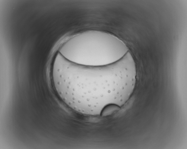 X0000113750341200910071110