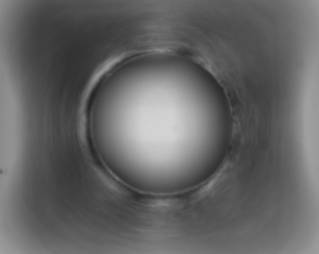 X0000113750342200910071110