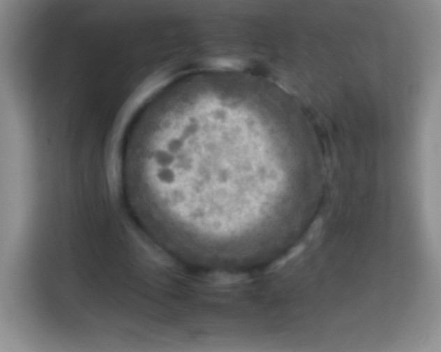 X0000113750343200910071110