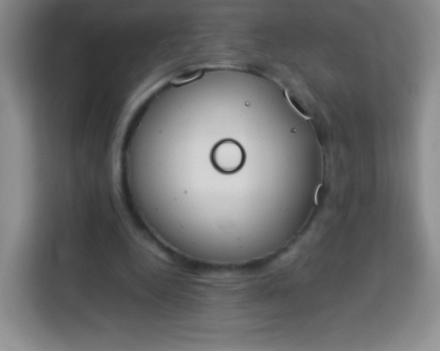 X0000113750344200910071110