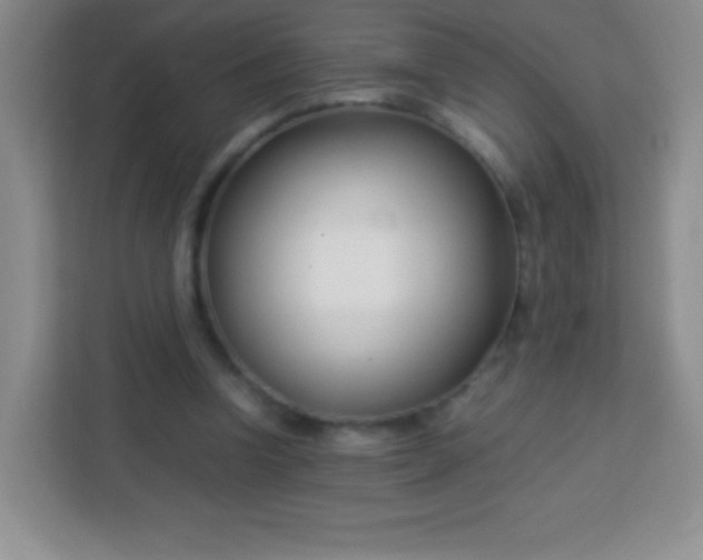 X0000113750346200910071110