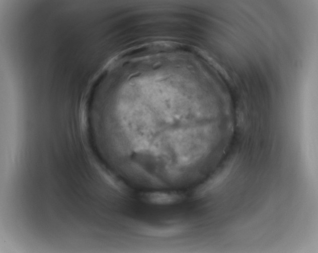 X0000113750347200910071110