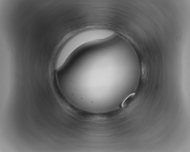 X0000113750348200910071110