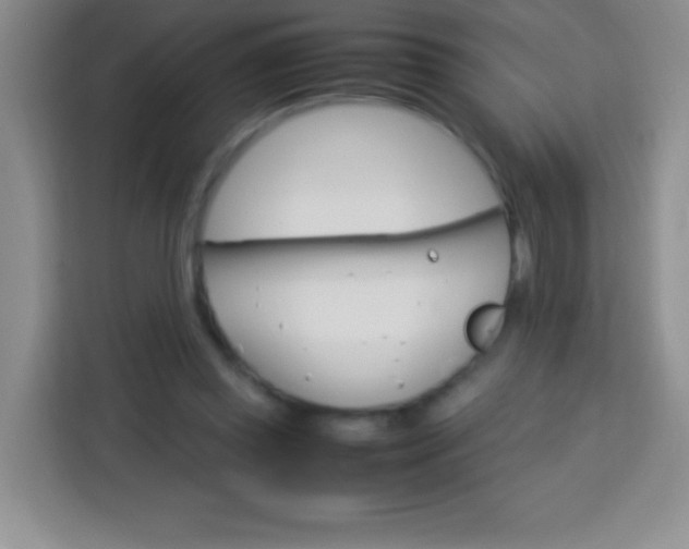 X0000113750349200910071110