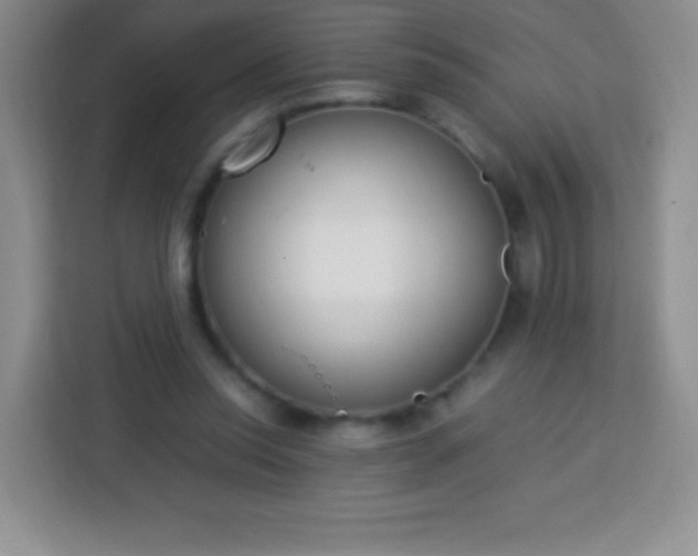 X0000113750350200910071110