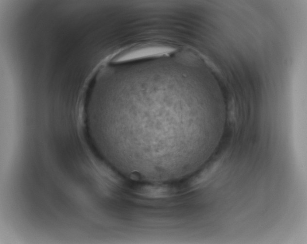 X0000113750351200910071110