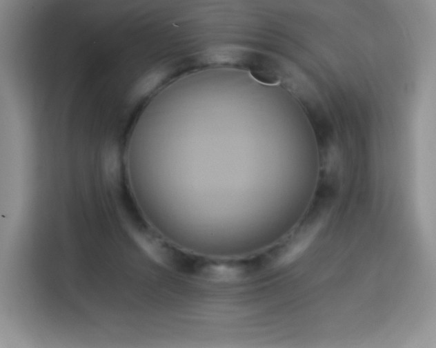 X0000113750352200910071110