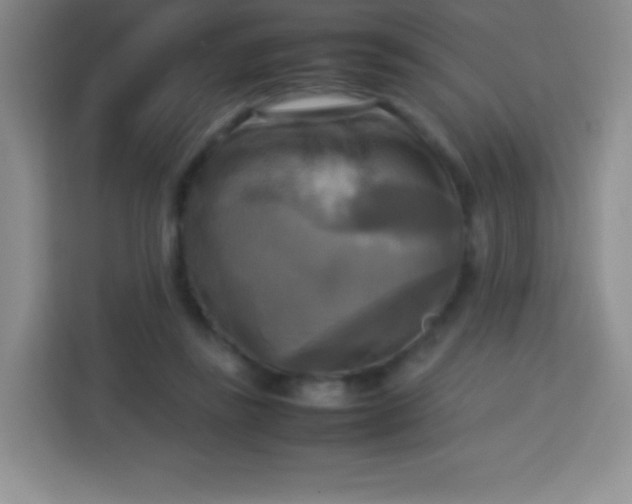 X0000113750355200910071110