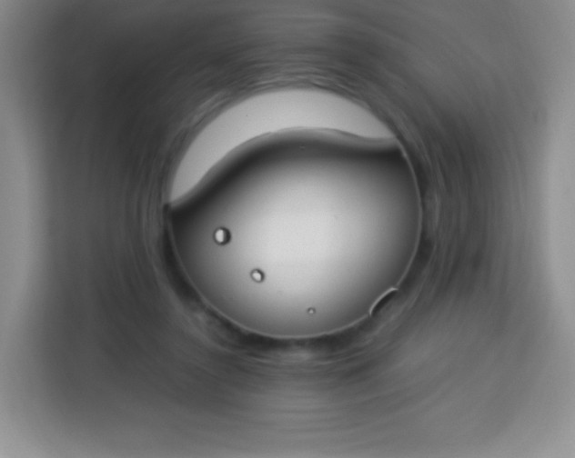 X0000113750356200910071110