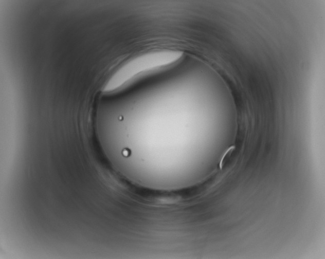 X0000113750360200910071111