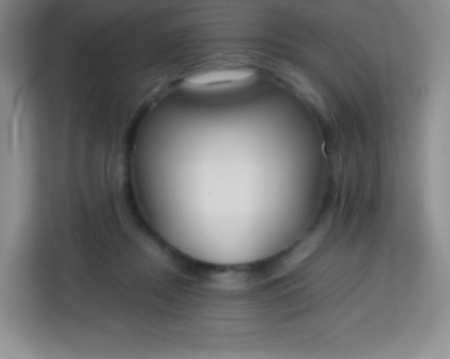 X0000113750362200910071111