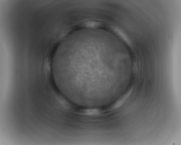 X0000113750363200910071111