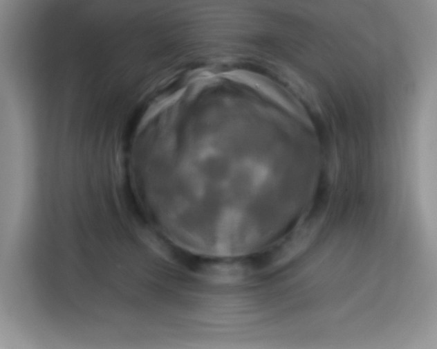 X0000113750366200910071111