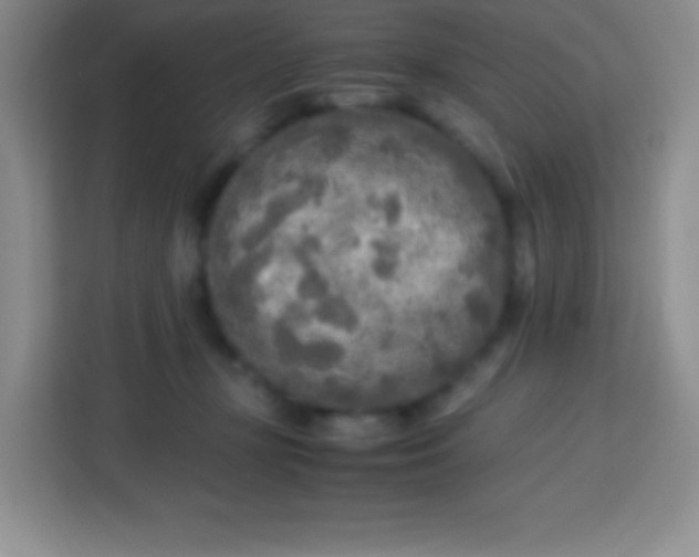 X0000113750367200910071111