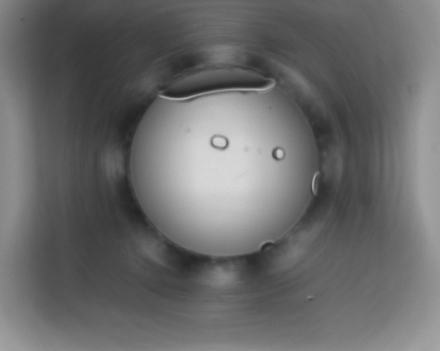 X0000113750368200910071111