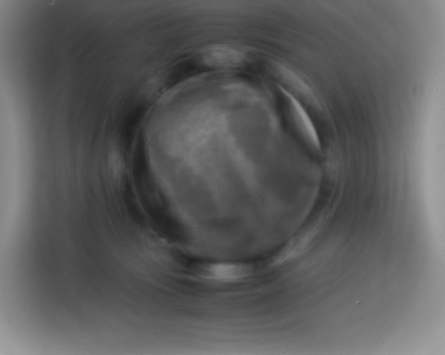 X0000113750371200910071111