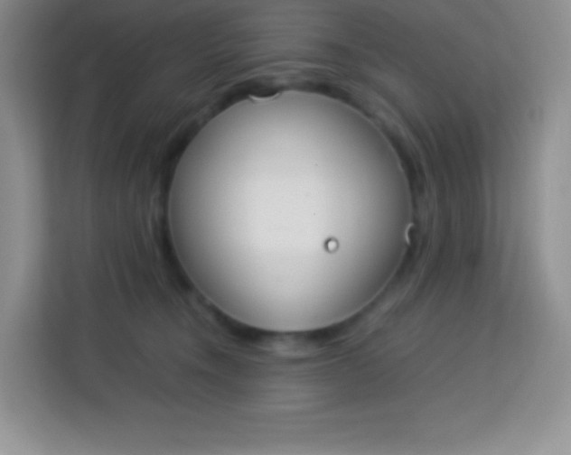 X0000113750372200910071111