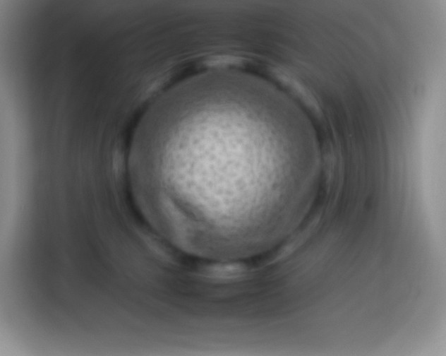 X0000113750375200910071111