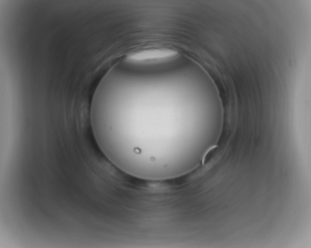 X0000113750376200910071111