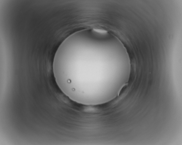 X0000113750380200910071111