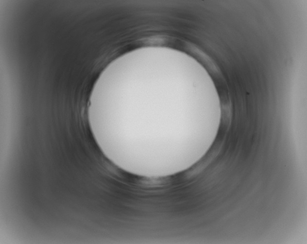 X0000113750381200910071111