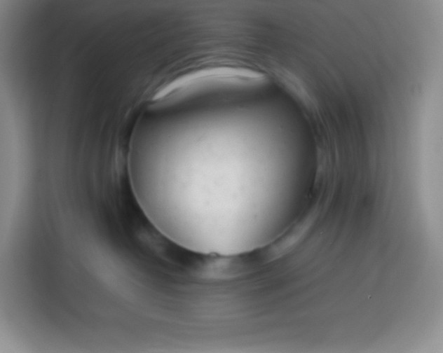 X0000113750382200910071111