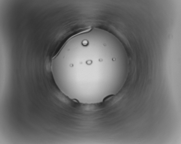 X0000113750384200910071111