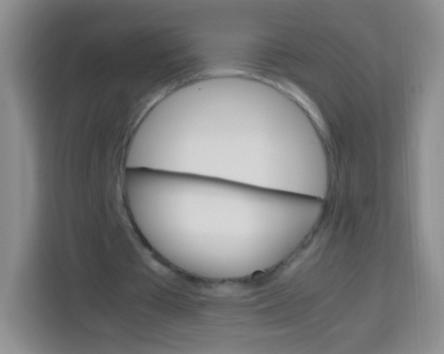 X0000113750385200910071110