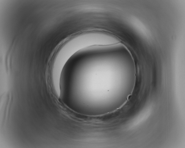 X0000113750387200910071110